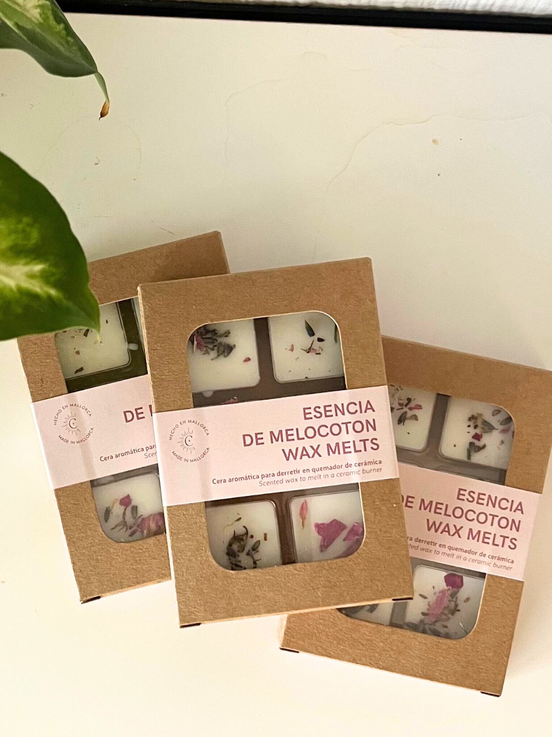 Wax Melts | Naranja Especiada