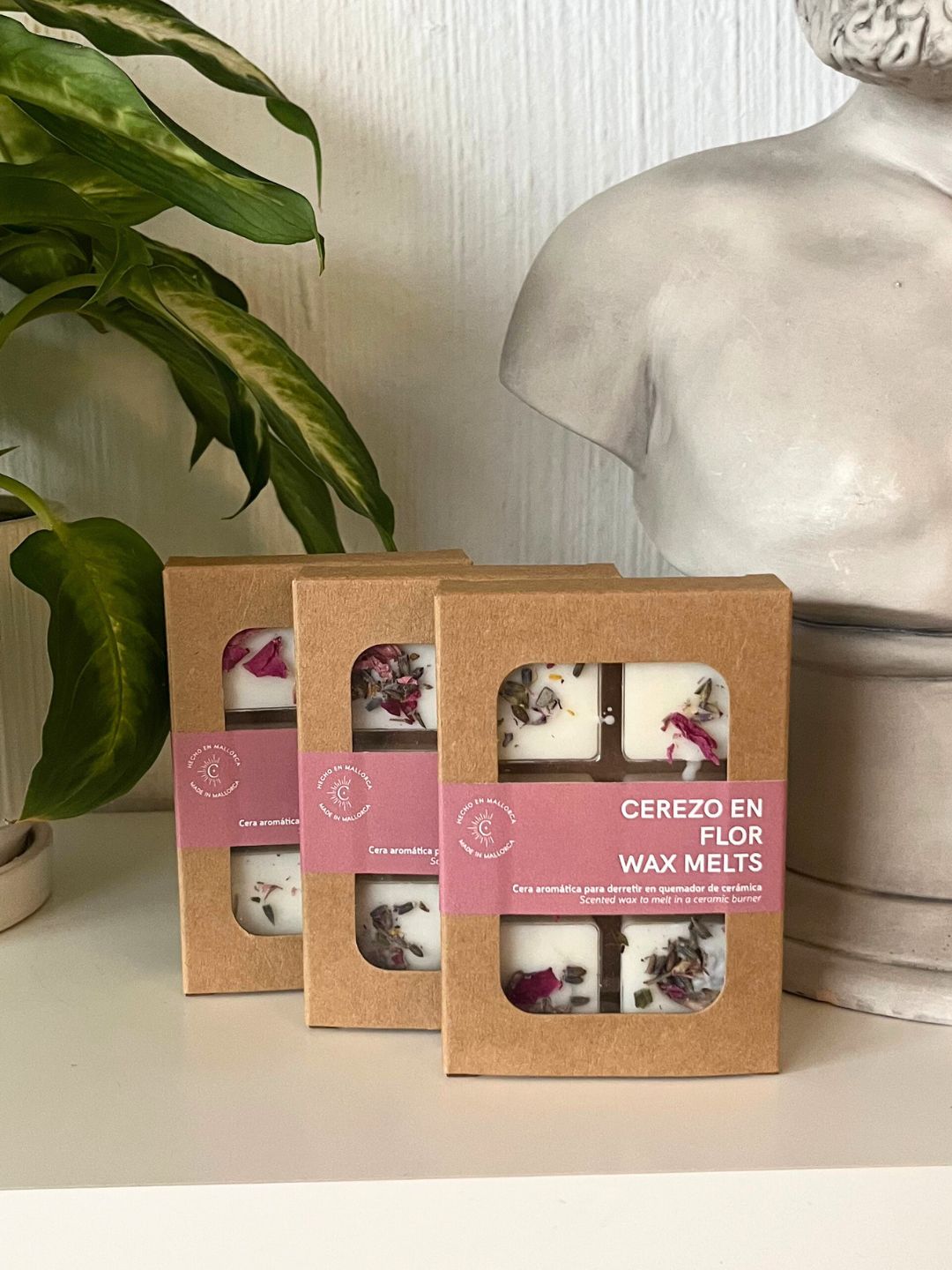 Wax Melts | Cerezo en flor