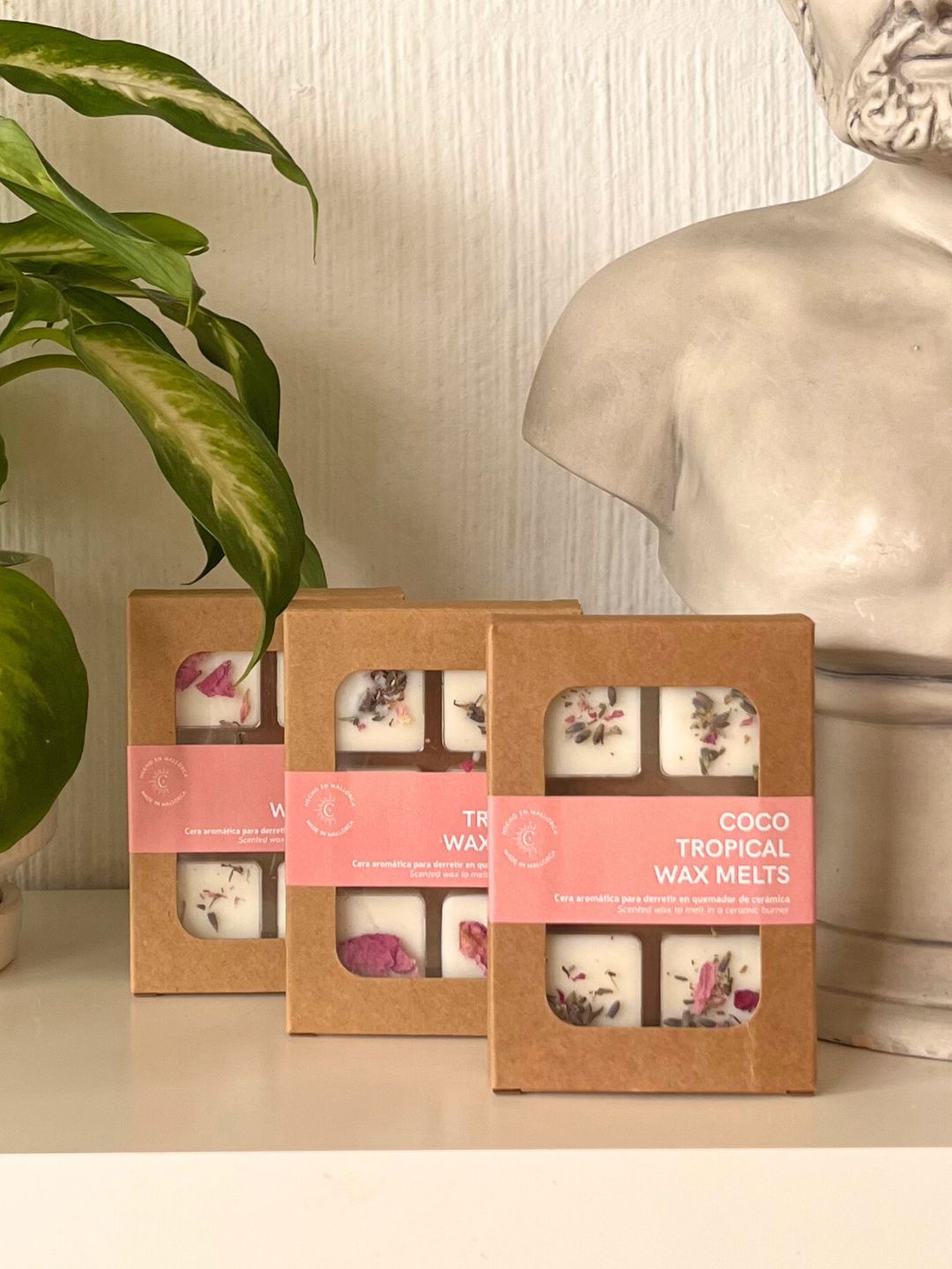 Wax Melts | Coco Tropical