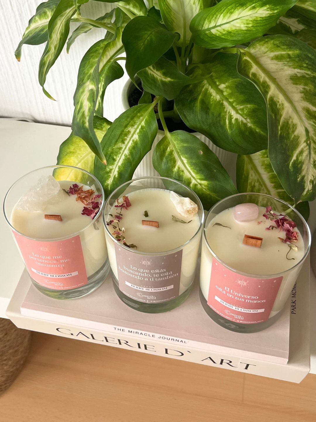 Vela Manifiéstalo Cristal | Berry Blossom