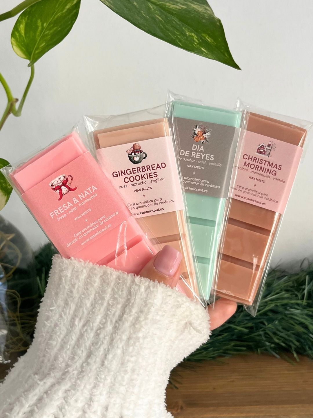 Wax Melts | Tableta Gingerbread Cookie