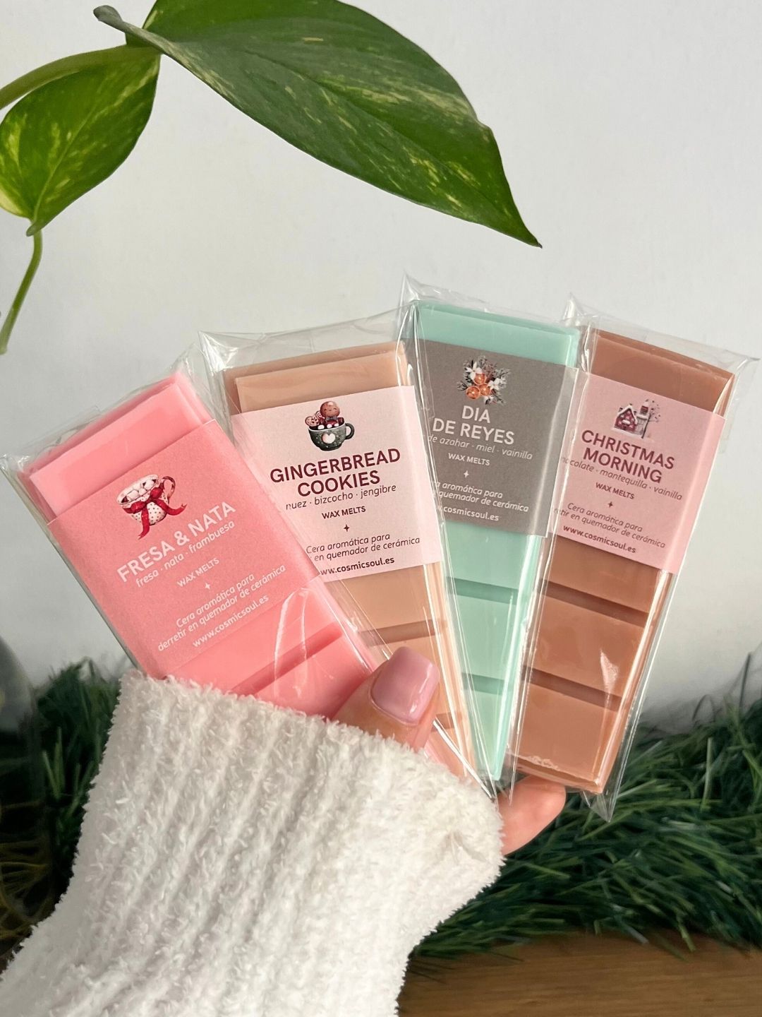 Wax Melts | Tableta Christmas Morning