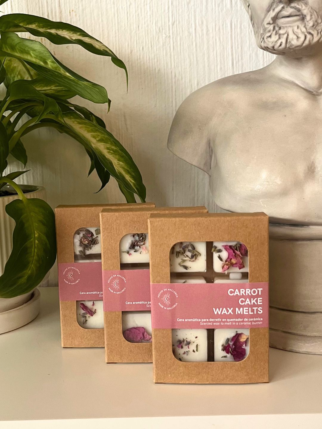 Wax Melts | Carrot Cake