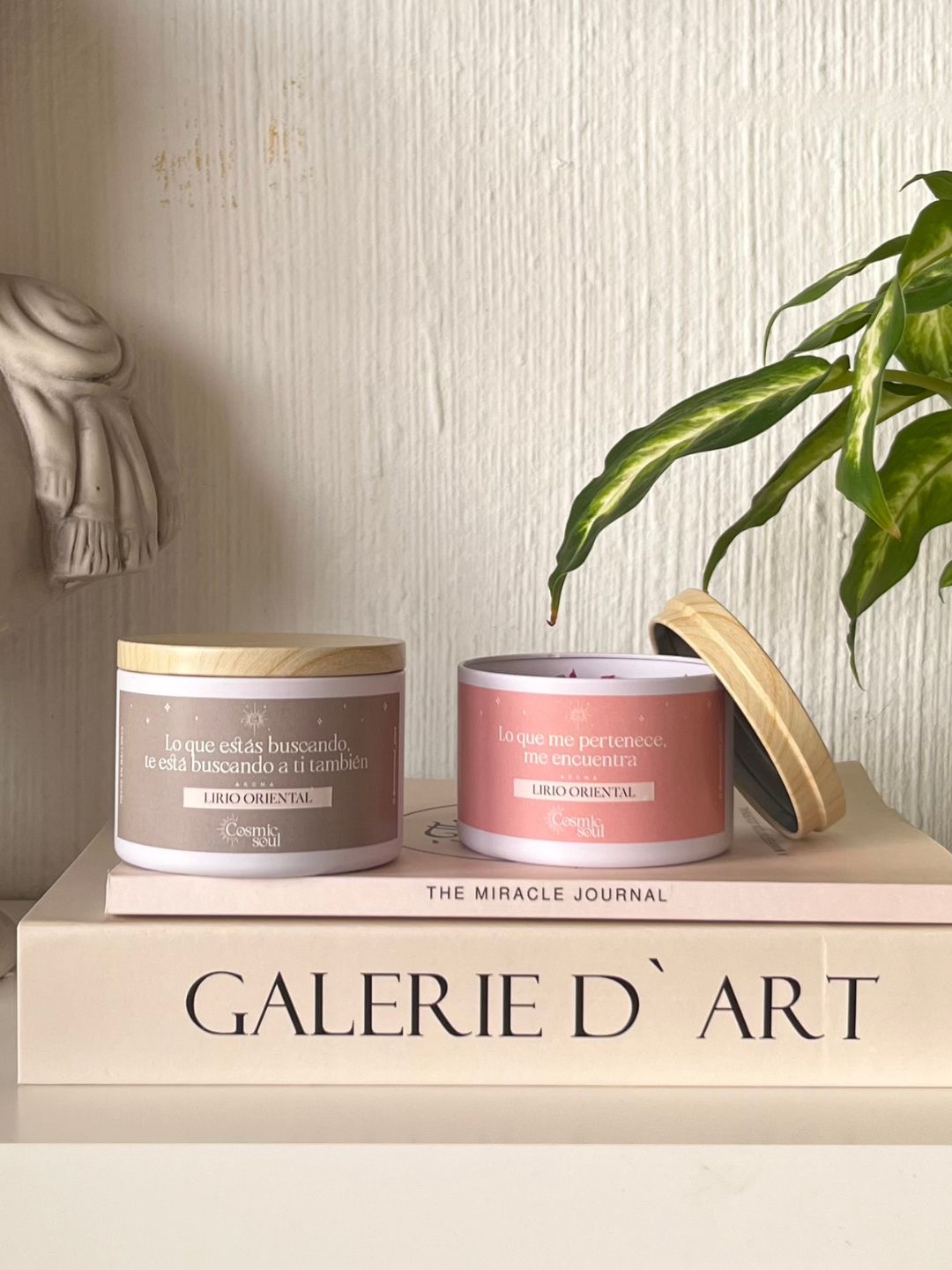 Vela "Manifiéstalo" Formato Lata | Lirio Oriental