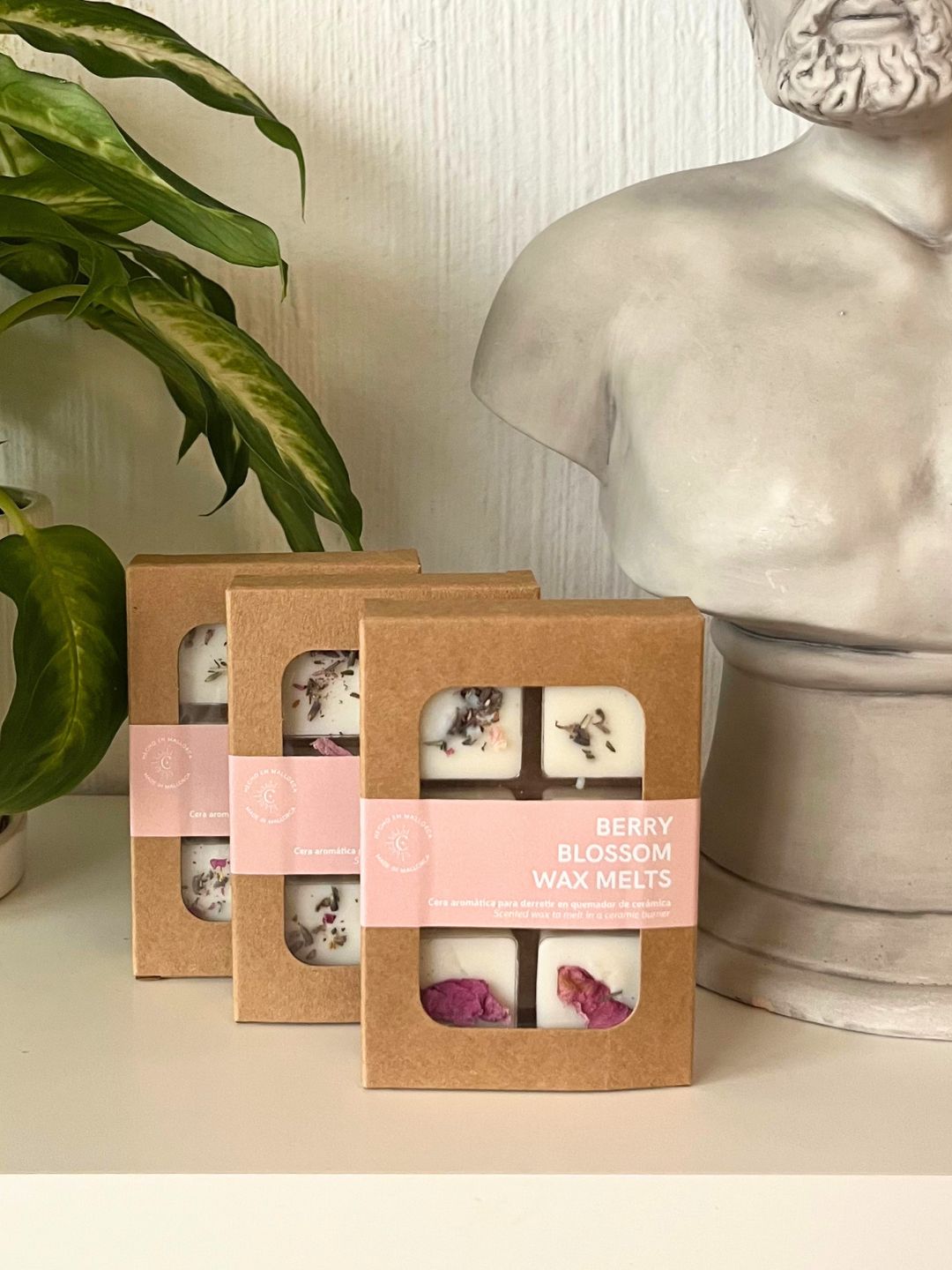 Wax Melts | Berry Blossom