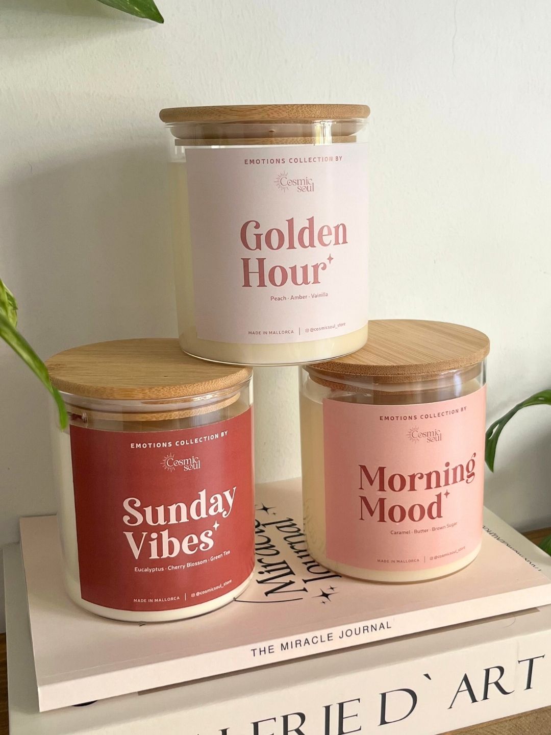 Vela Emotions | Sunday Vibes