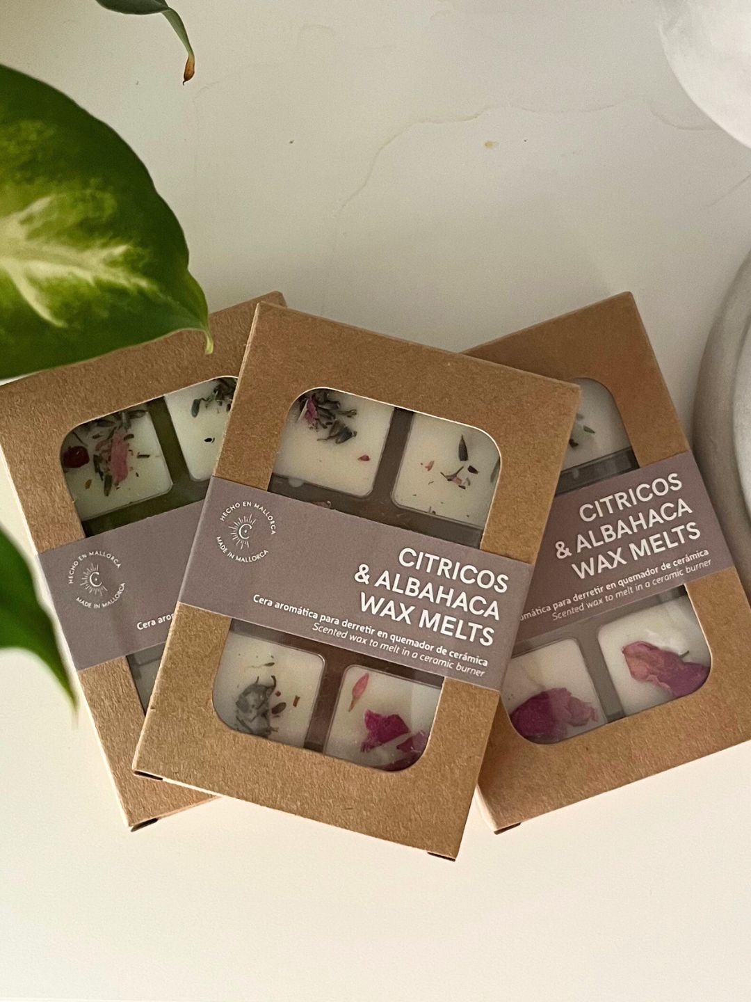 Wax Melts | Citricos & Albahaca