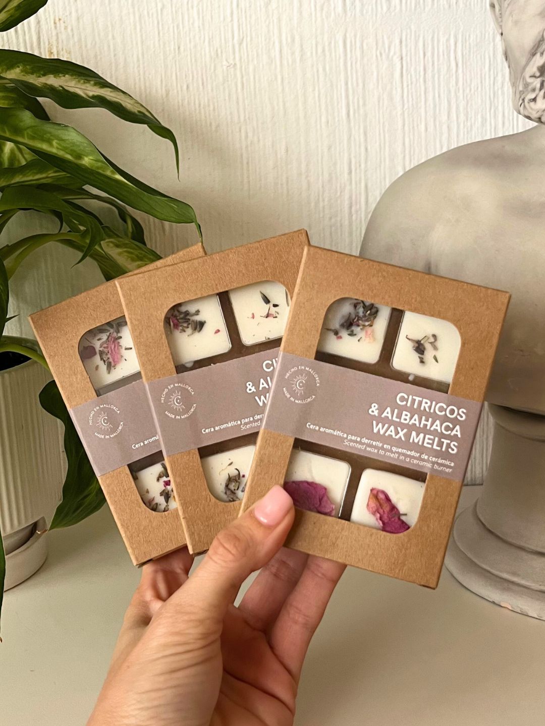 Wax Melts | Citricos & Albahaca