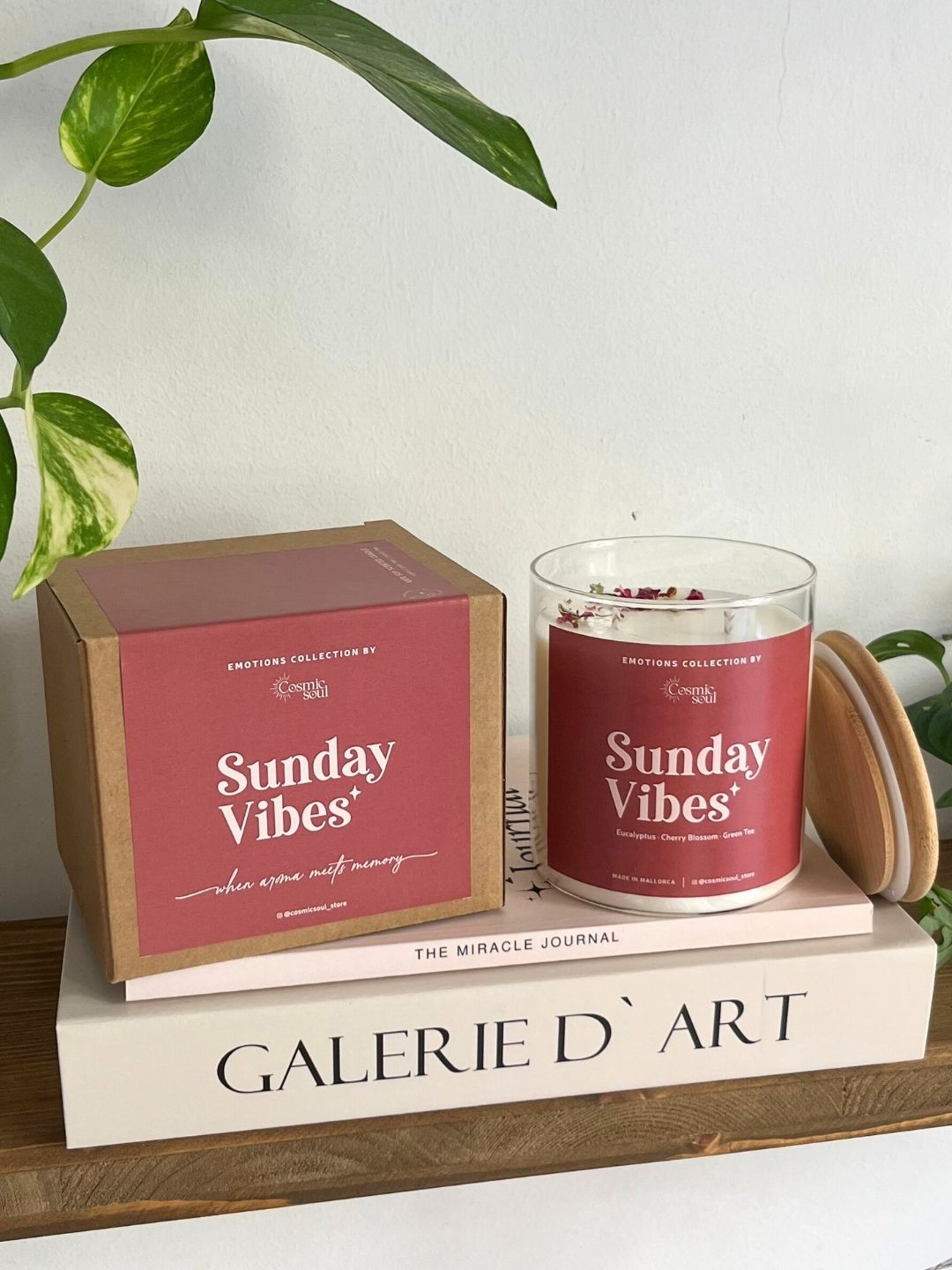 Vela Emotions | Sunday Vibes