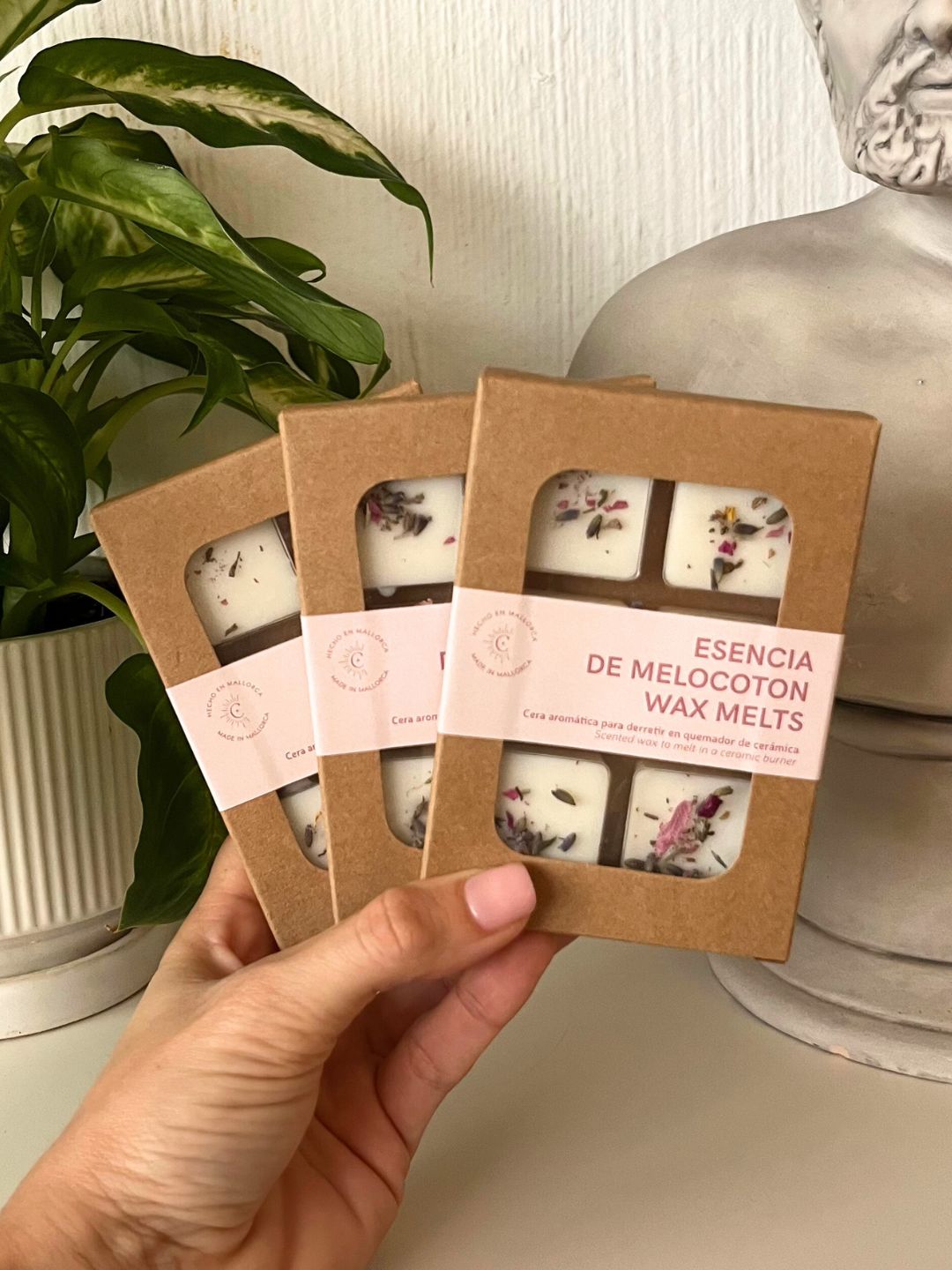 Wax Melts | Naranja Especiada