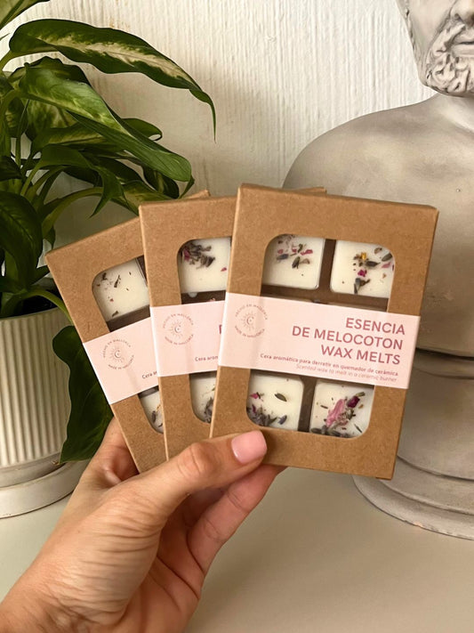 Wax Melts | Naranja Especiada