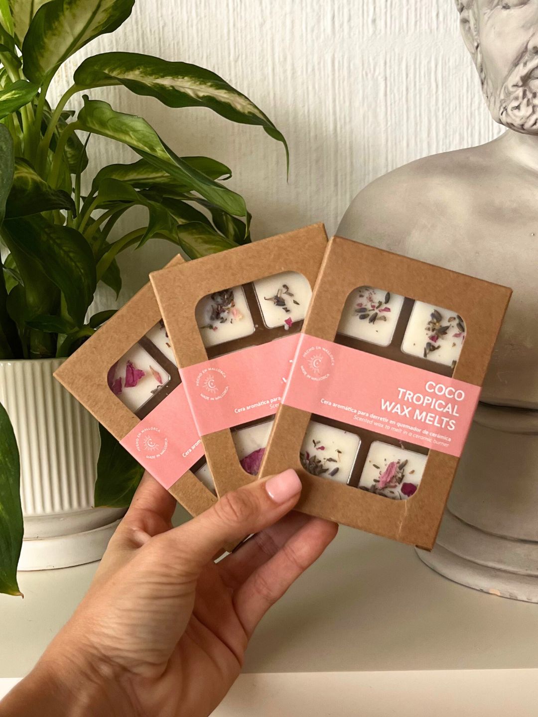 Wax Melts | Coco Tropical