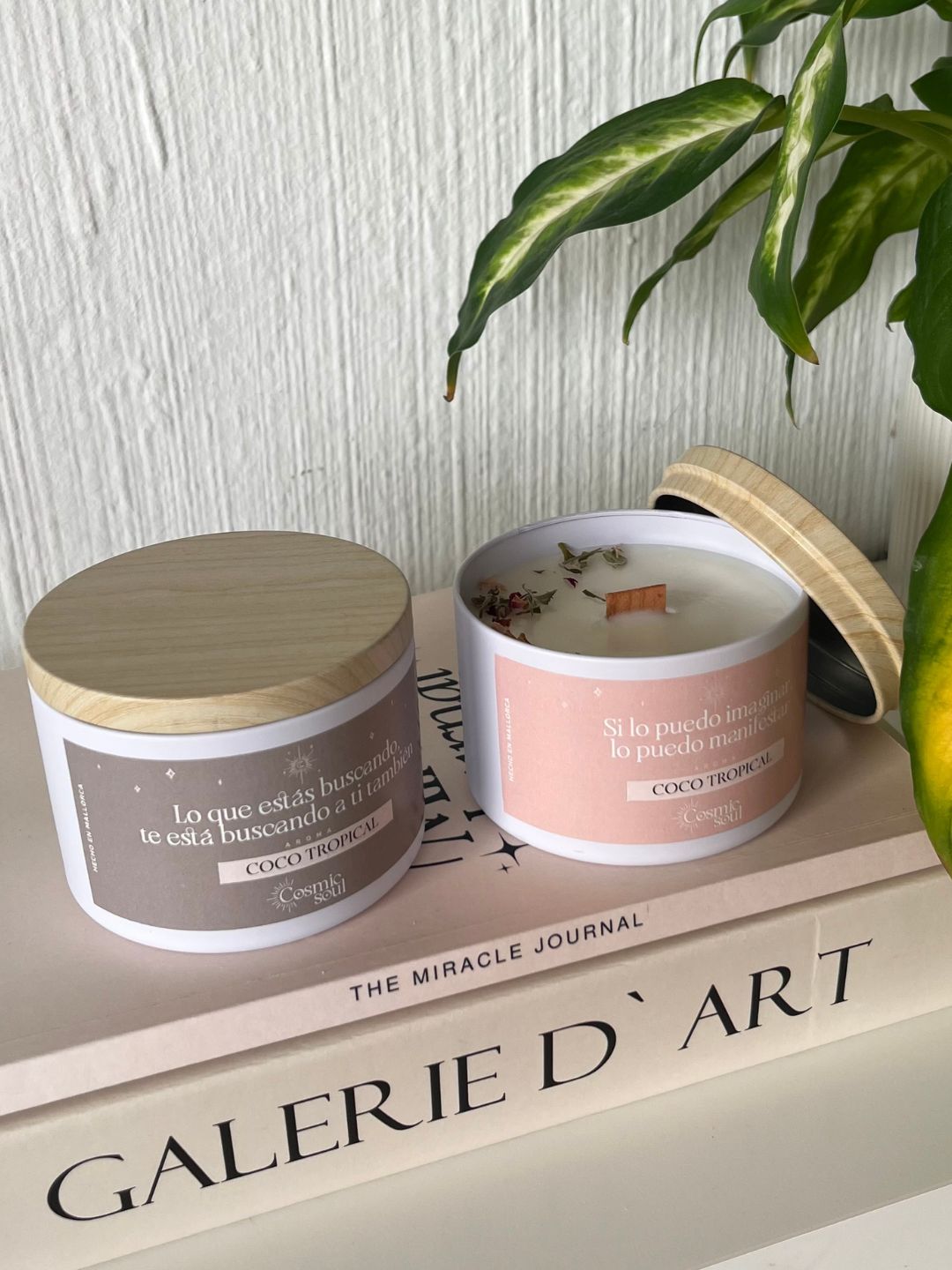 Vela "Manifiéstalo" Formato Lata | Coco Tropical