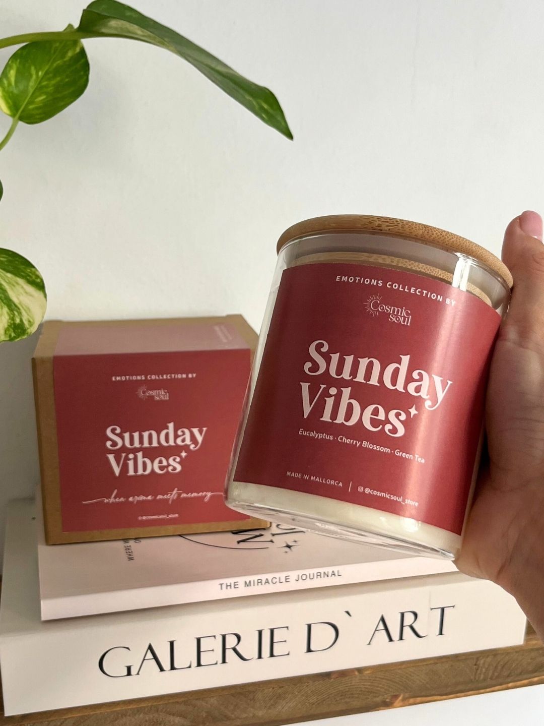 Vela Emotions | Sunday Vibes