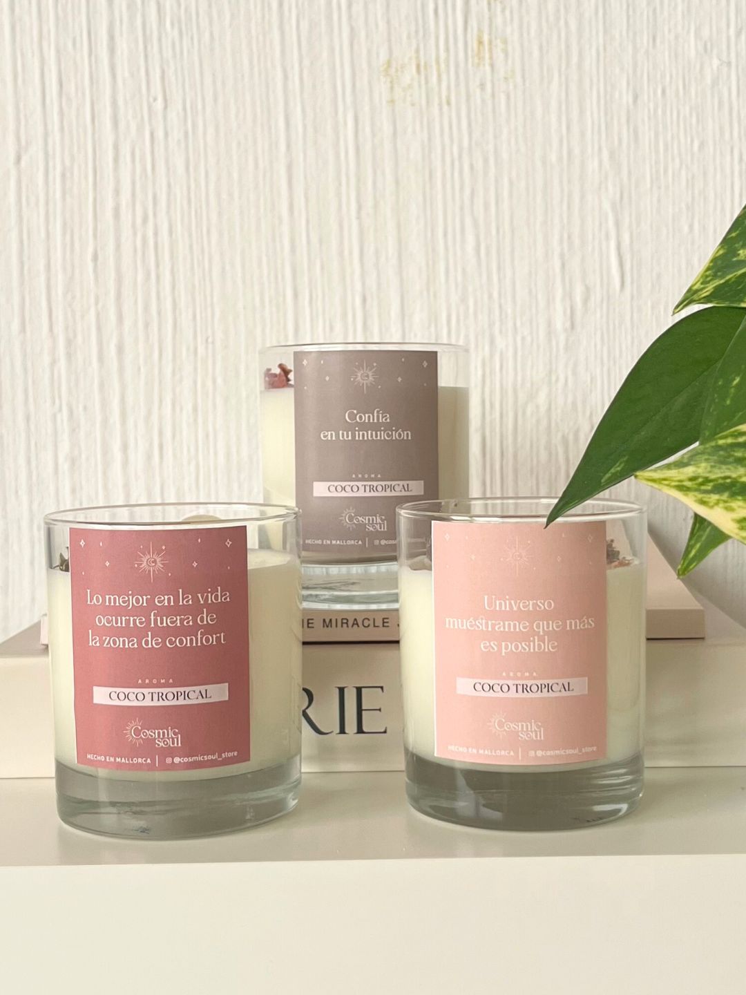 Vela Manifiéstalo Cristal | Coco Tropical