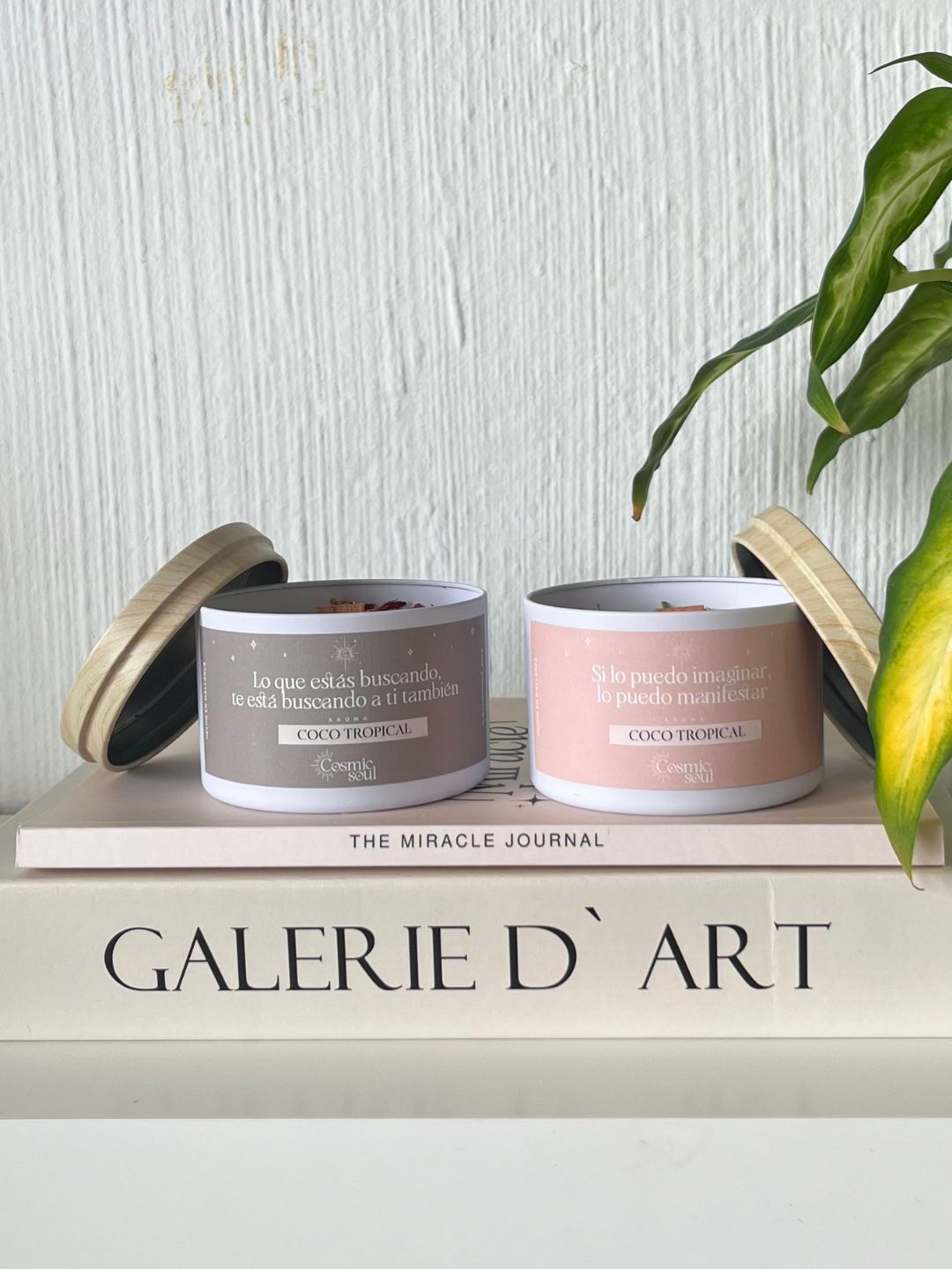 Vela "Manifiéstalo" Formato Lata | Coco Tropical
