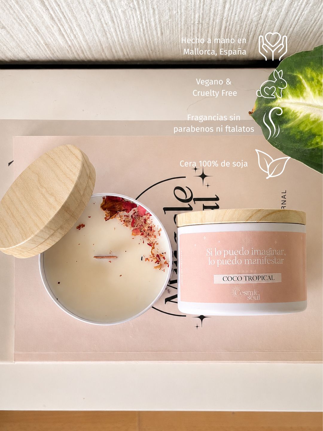 Vela Manifiéstalo | Coco Tropical