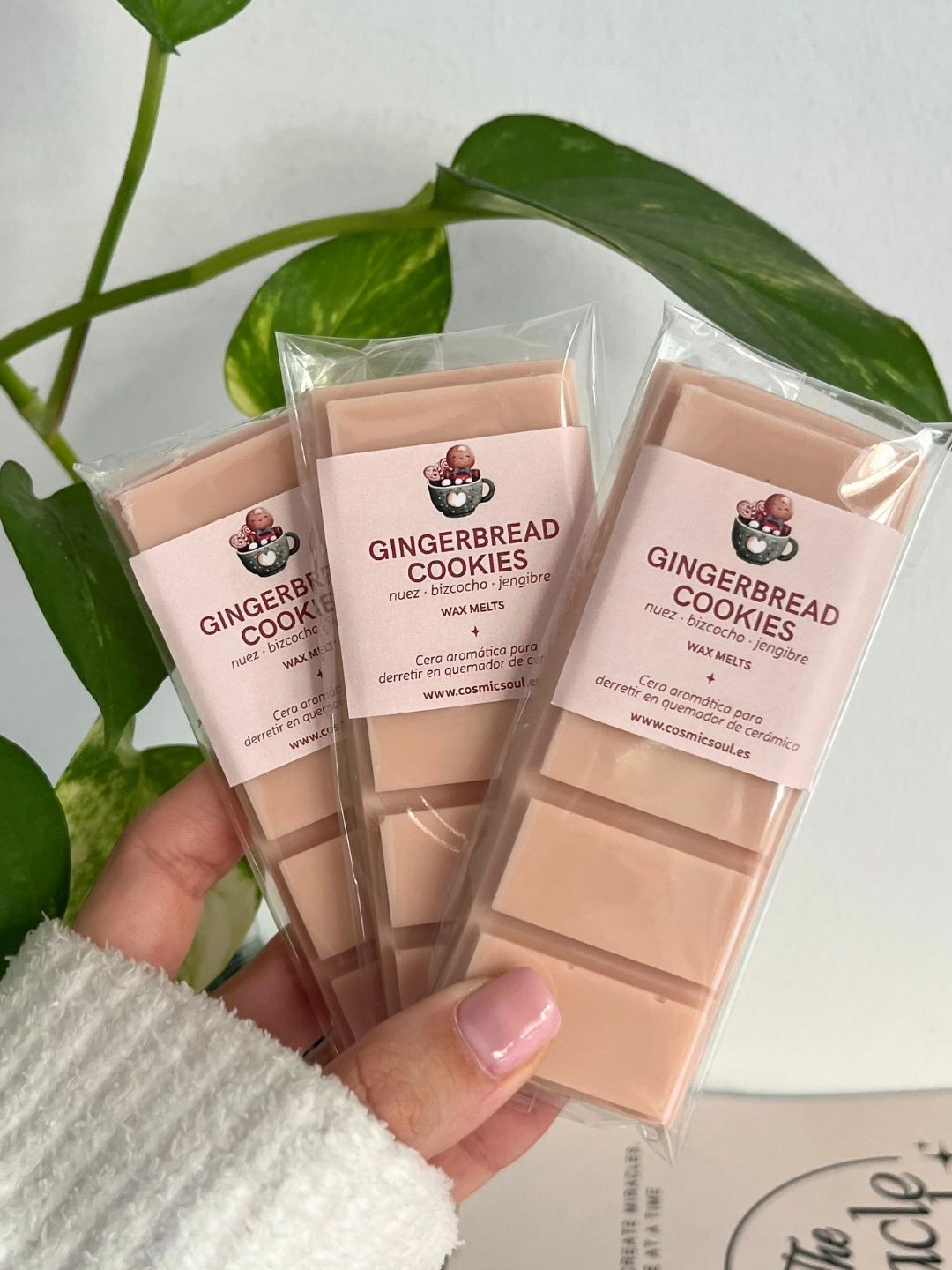 Wax Melts | Tableta Gingerbread Cookie