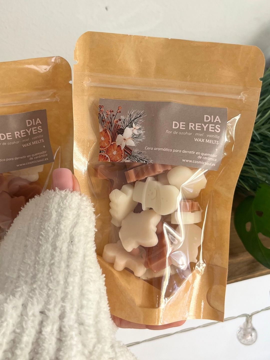 Wax Melts | Día de Reyes