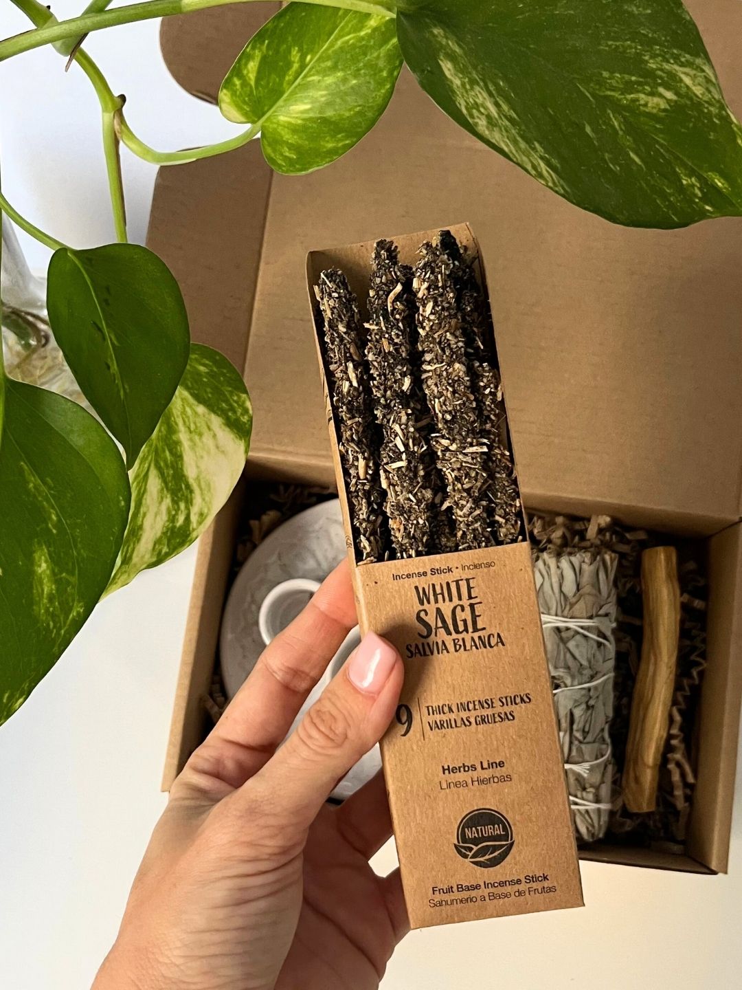 Kit Conexión Sagrada