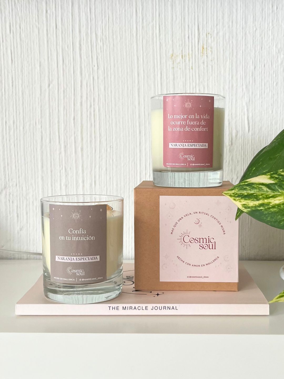 Vela Manifiéstalo Cristal | Naranja Especiada