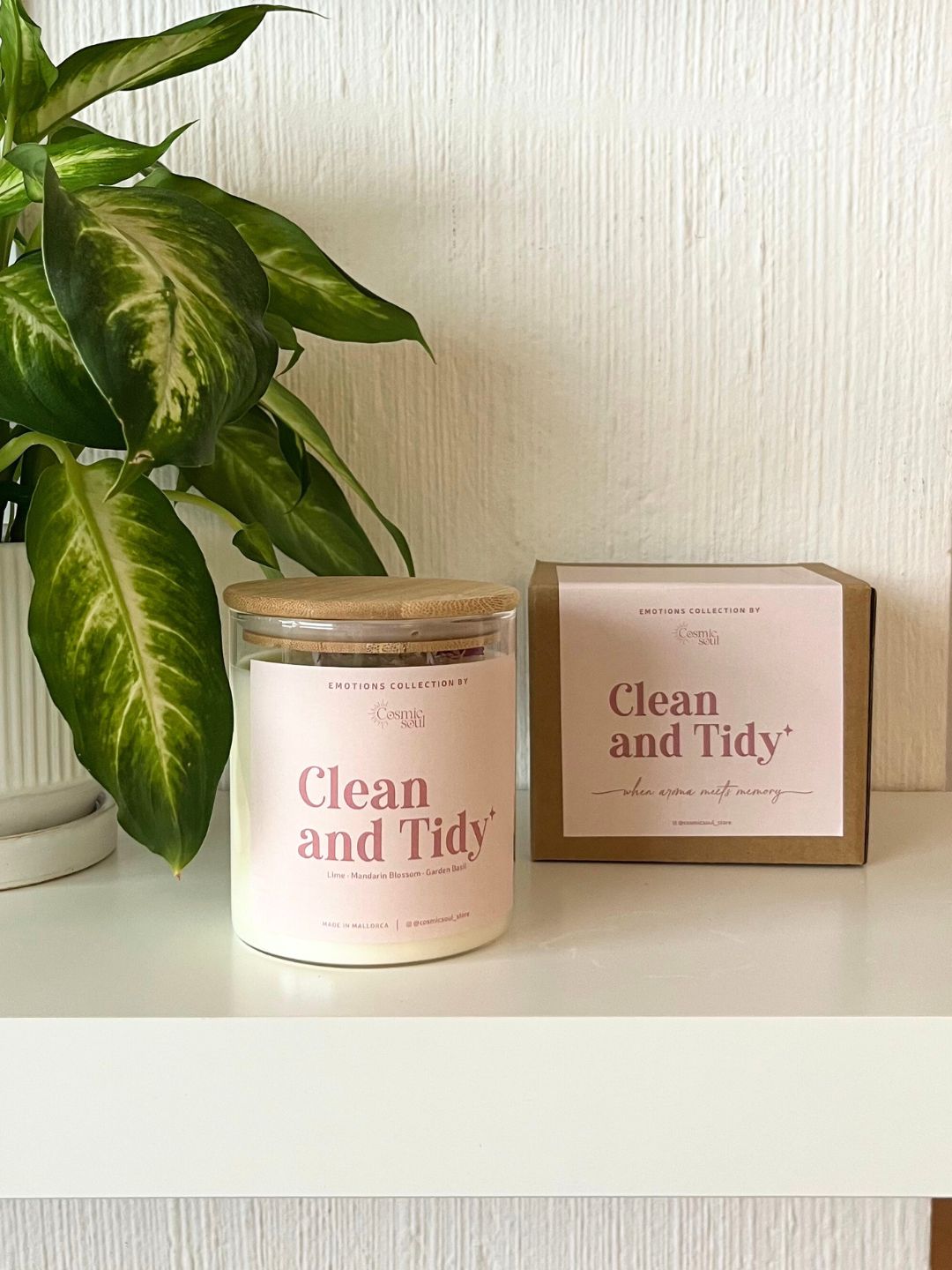 Vela Emotions | Clean and Tidy