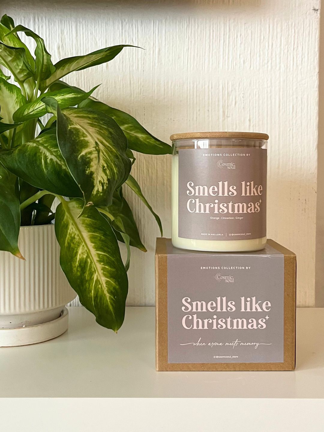 Vela Emotions | Smells like Christmas