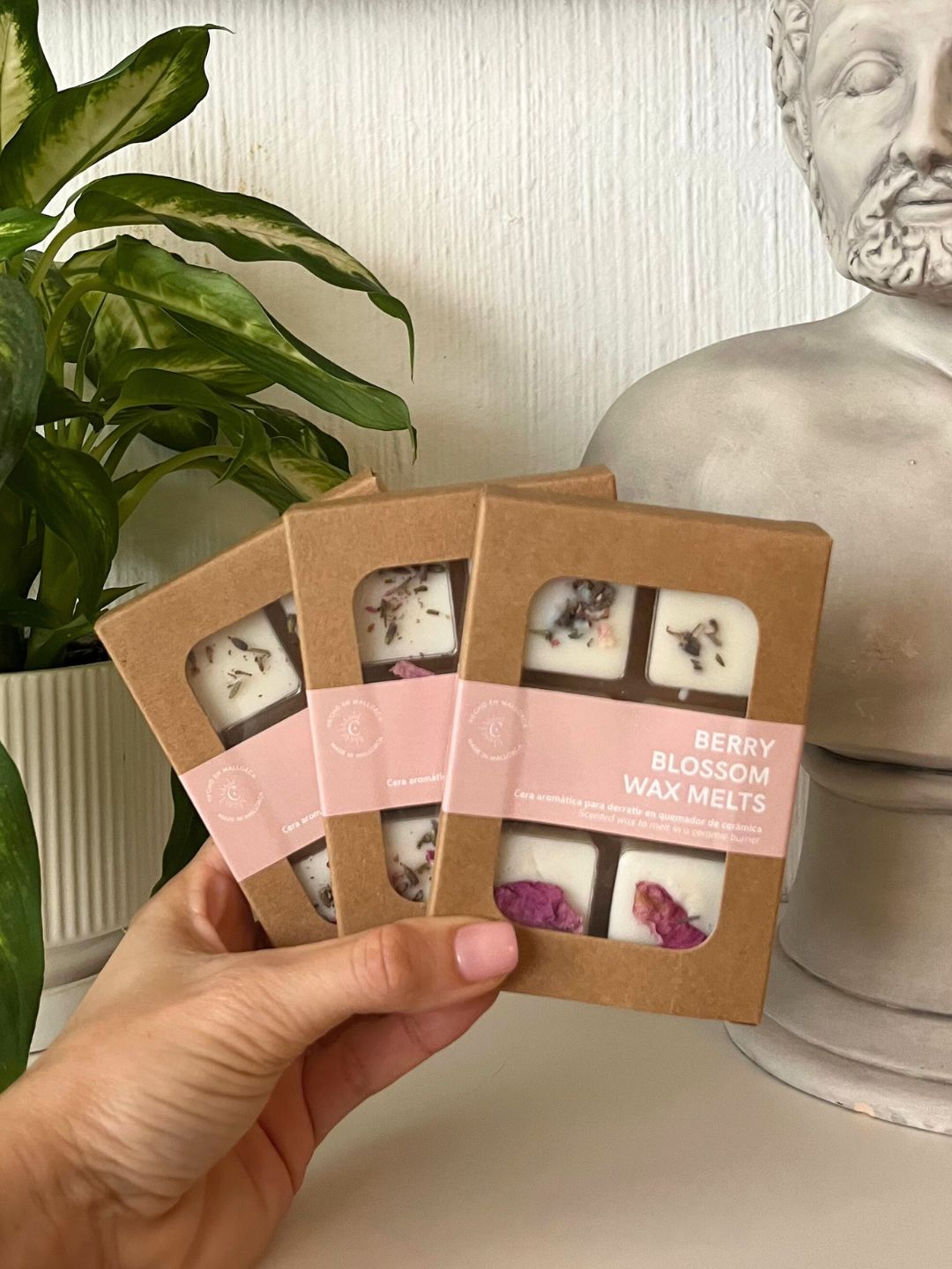 Wax Melts | Berry Blossom