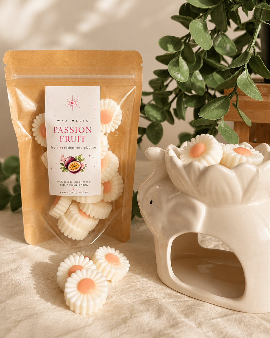 Margaritas Tropicales · Wax Melts