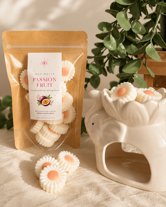 Margaritas Tropicales · Wax Melts