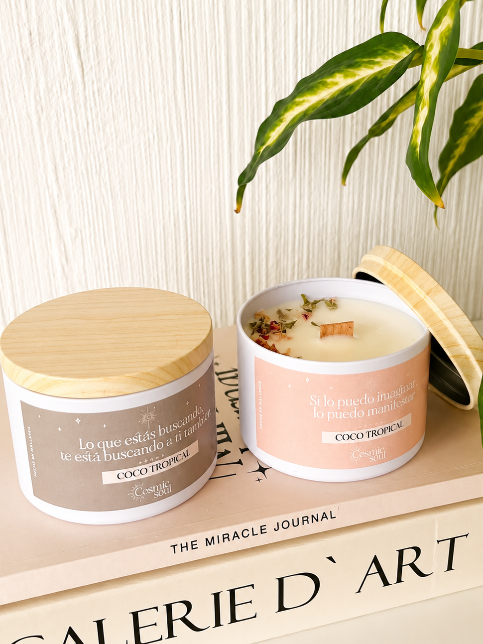 "Manifest" Crystal Candle | Tropical Coconut