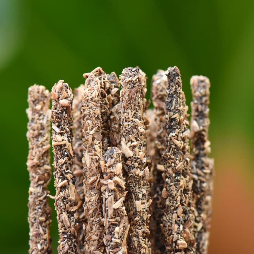 Incienso de Palo Santo Natural