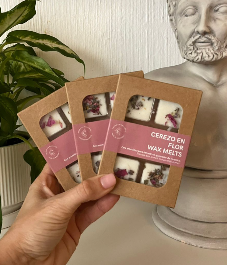 Regalito EXTRA Wax Melts!